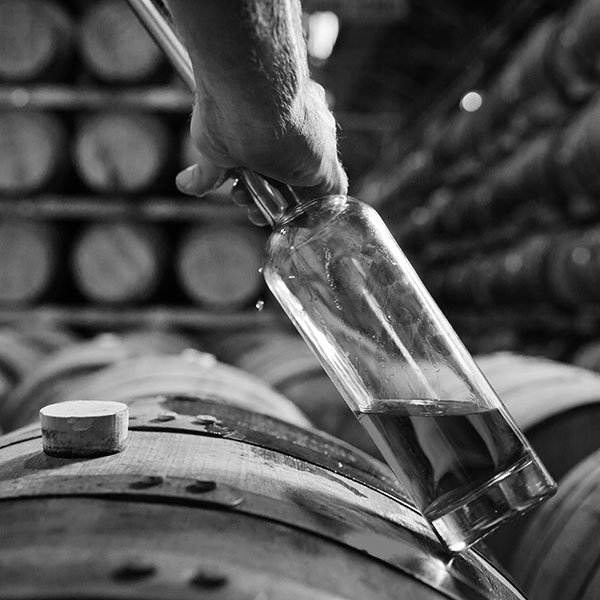 A black and white photo of a distiller sampling rye from the barrel